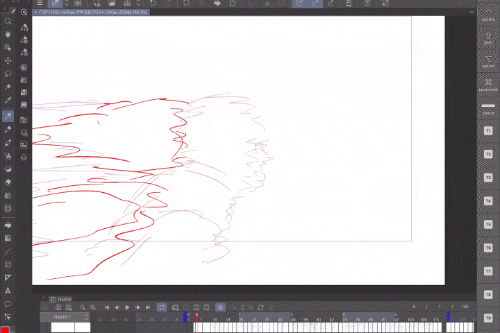 Coloso 2DAnimator proro Class Details