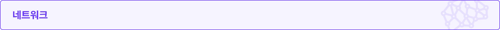 네트워크, 와이어샤크, IPv4, IPv6, ARP, ICMP