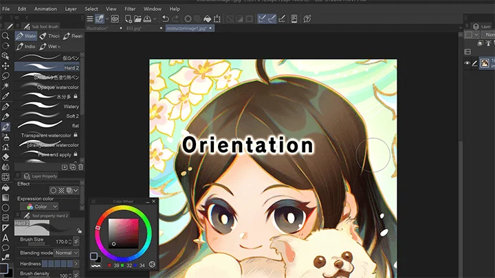 us-illustrator-artofjuu-curriculum-01.webp