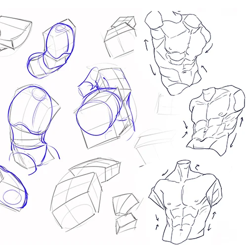 Coloso Illustrator Artofjuu Exercises
