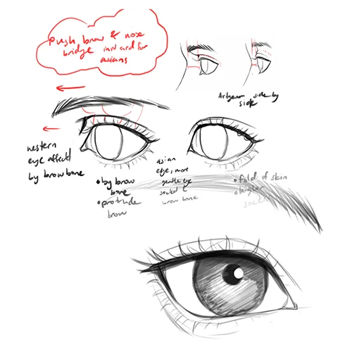 Coloso Illustrator Artofjuu Exercises