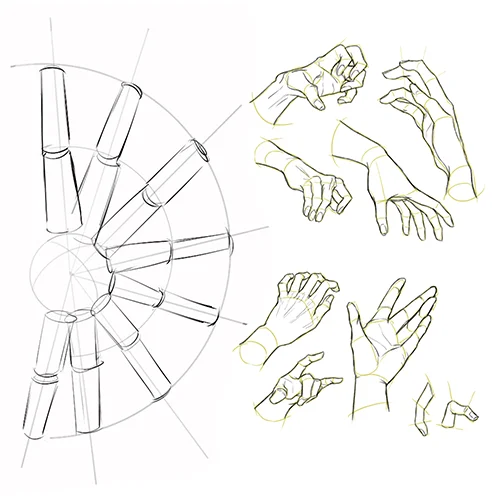 Coloso Illustrator Artofjuu Exercises