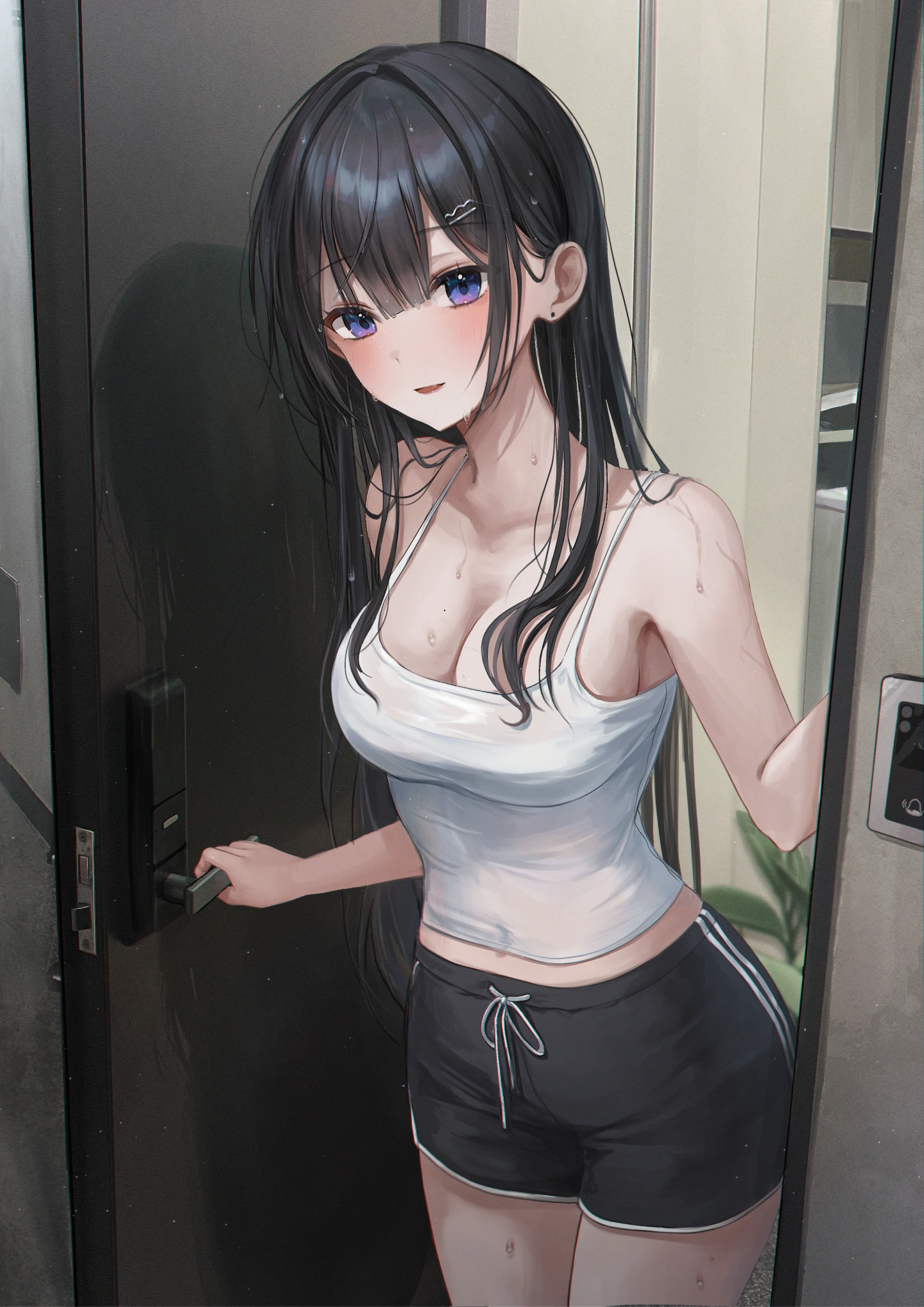 묘와 포트폴리오