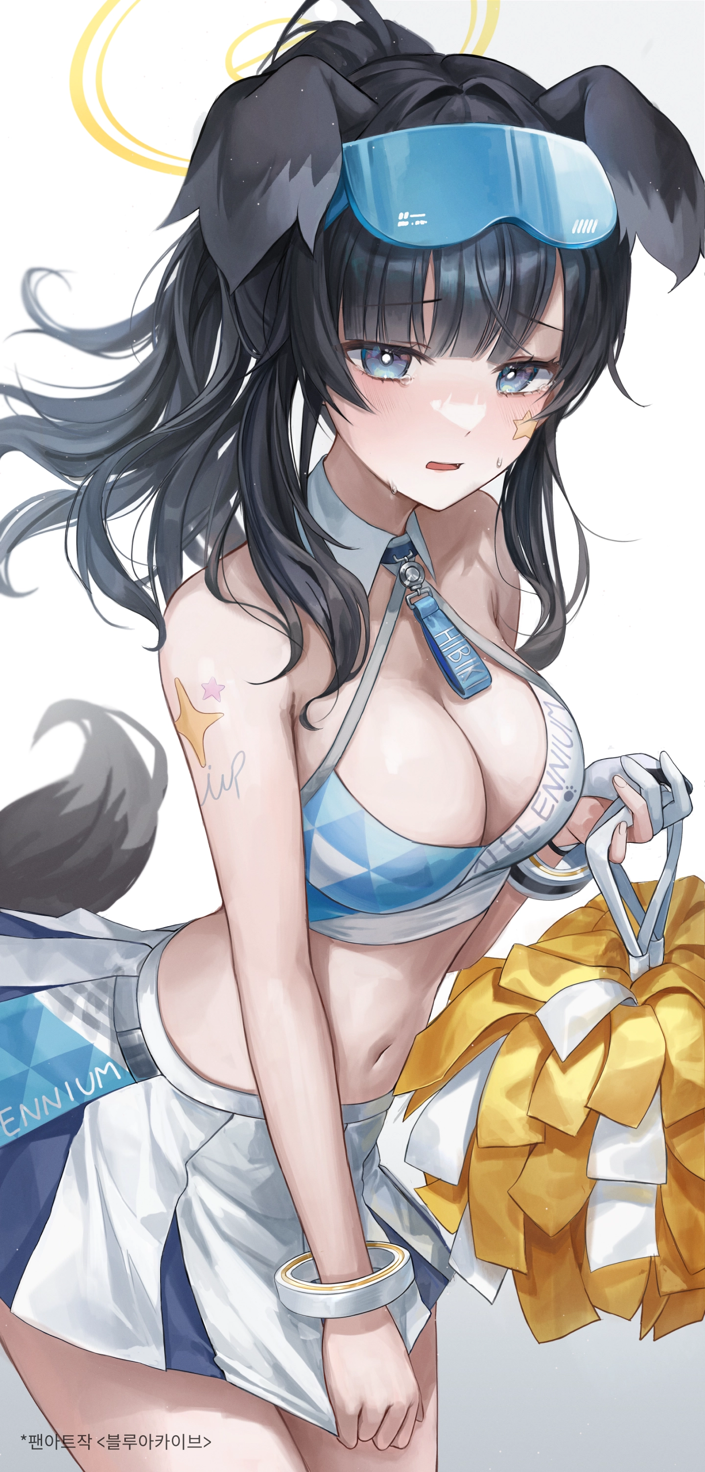 묘와 포트폴리오