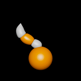 ImageSlide<div style="text-align:center"><b>꼬리 움직임</b></div>