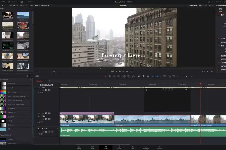 Coloso 映像クリエイター ぷらぐら