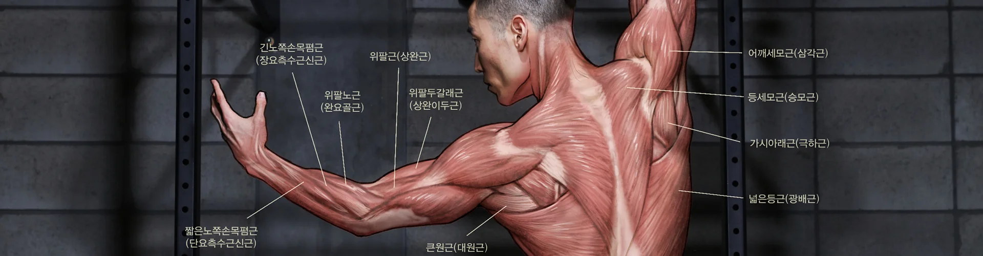 배경 이미지