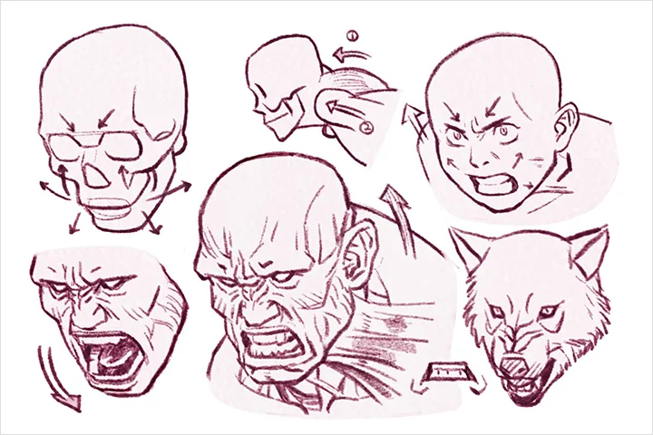 콜로소 일러스트 클래스 구성