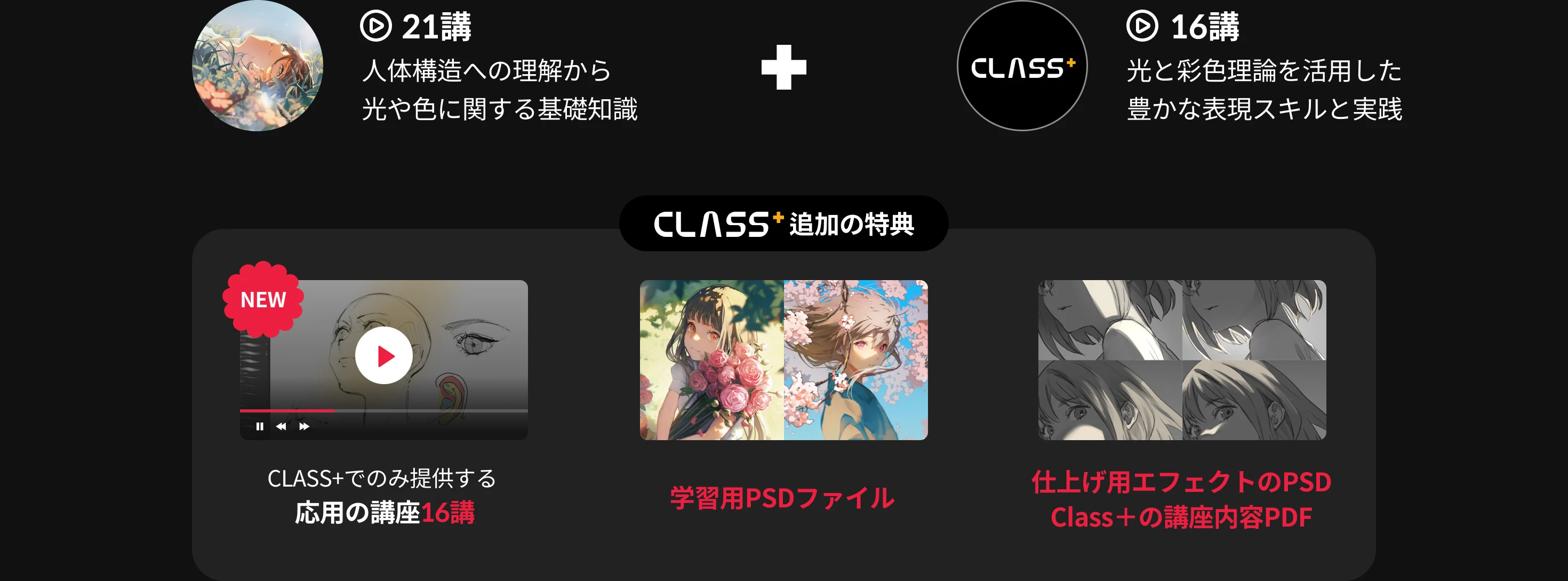 Coloso イラストレーター champi