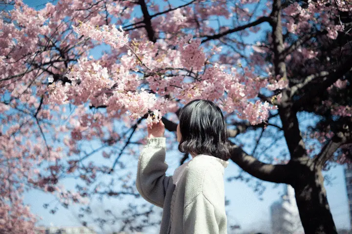 Coloso フォトグラファー wakana