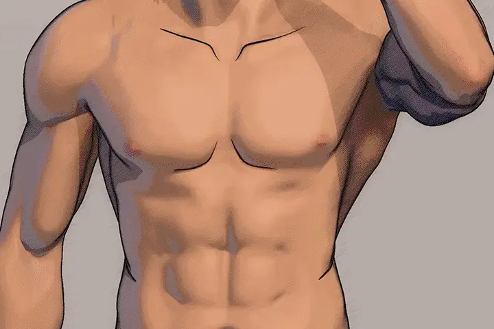 콜로소 무료 특강 포트폴리오