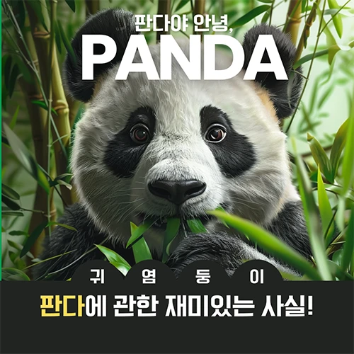 AI 아티스트, 따능이