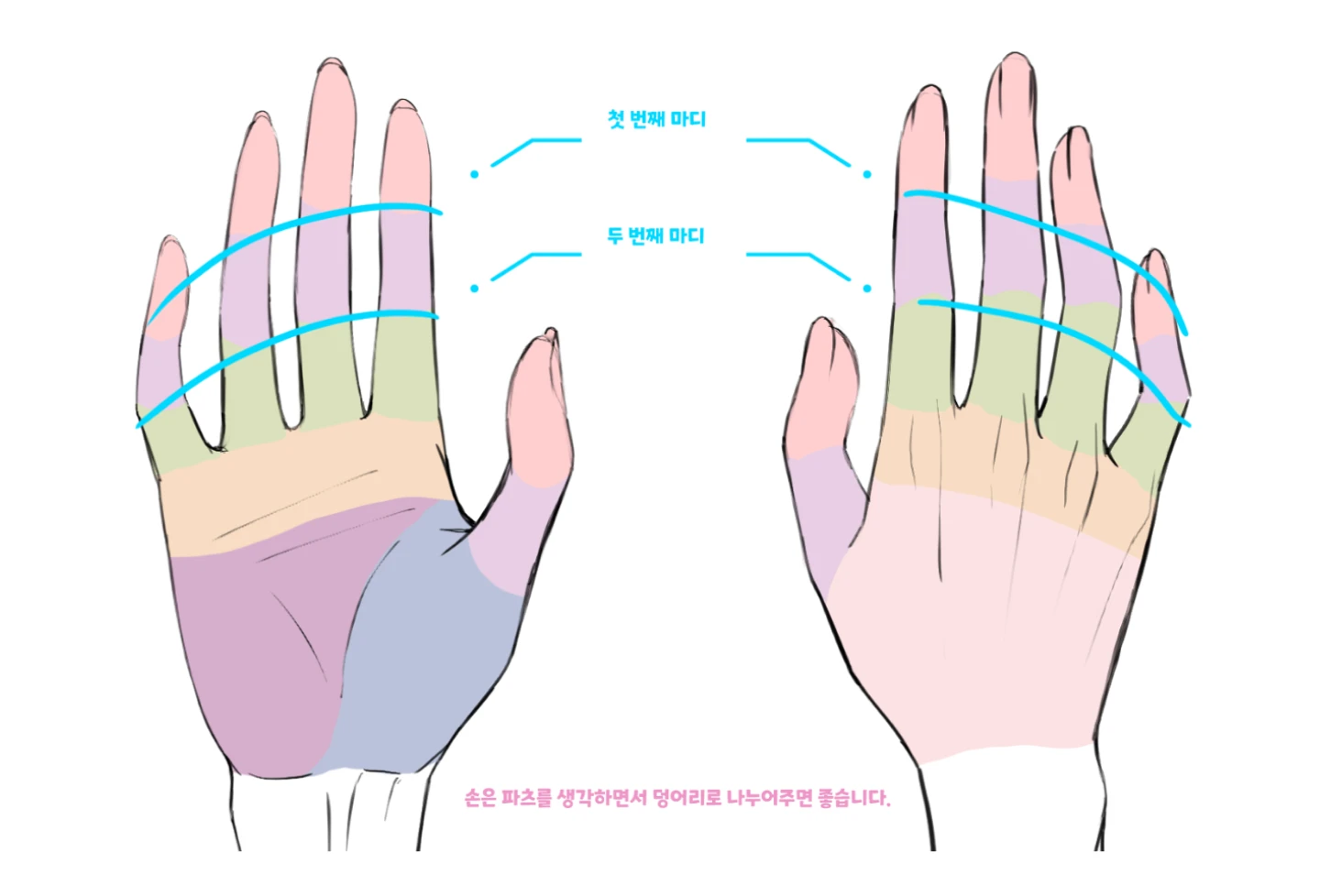 ImageSlide<b>손과 발의 이상적인 비율과 두께</b>