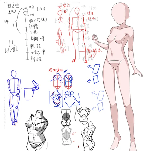 Coloso Illustrator Miryu