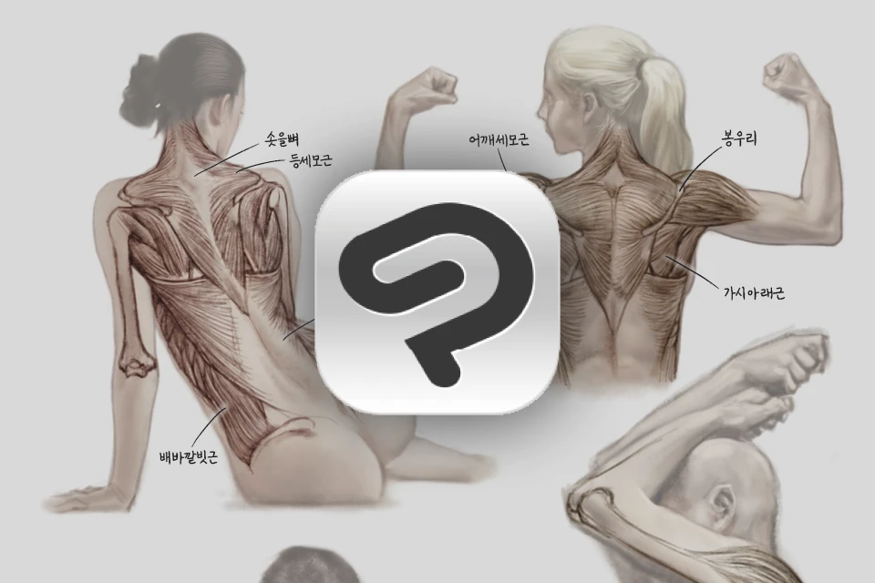 콜로소 일러스트레이터 석정현 클래스 이벤트