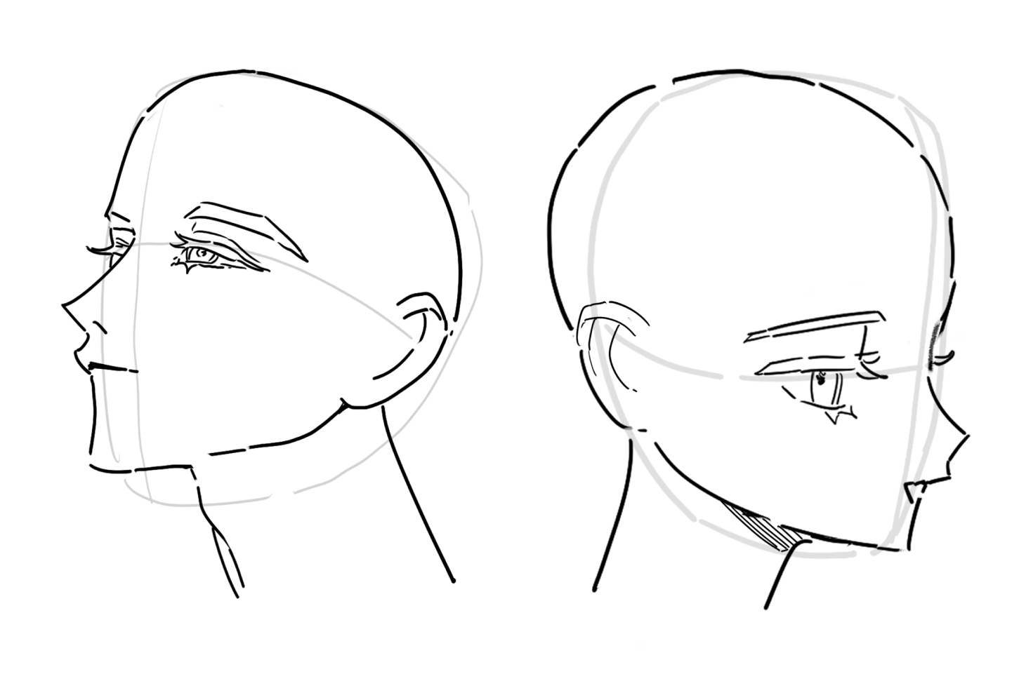 Coloso Illustrator Xuan Exercises