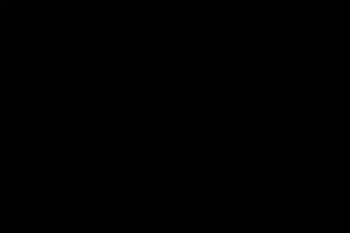 Coloso イラストレーター tama5