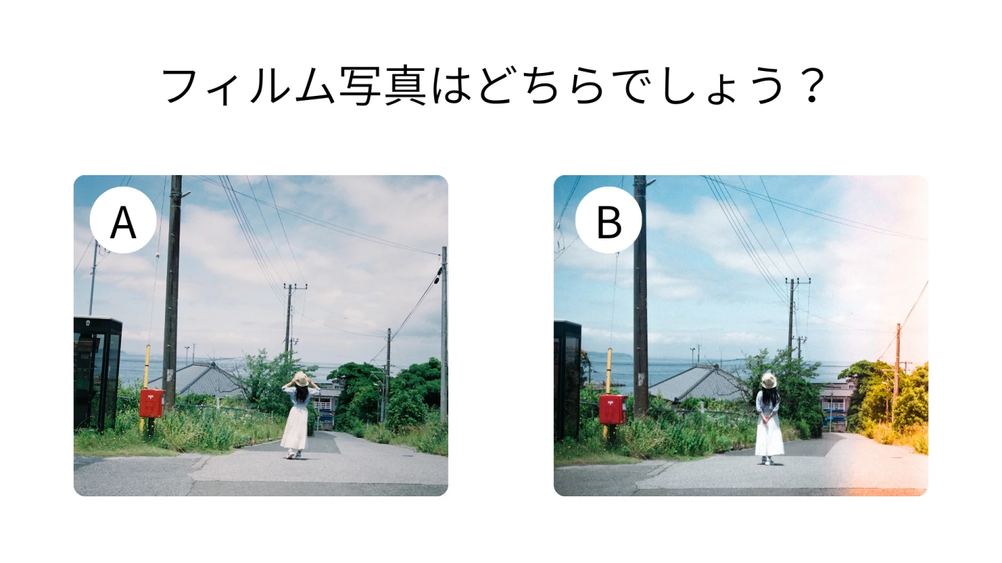 photographer_wakana_jp_curriculum1.webp