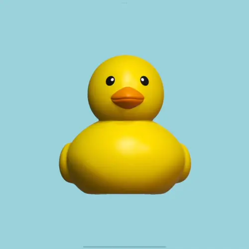 콜로소 3D 아티스트 해림