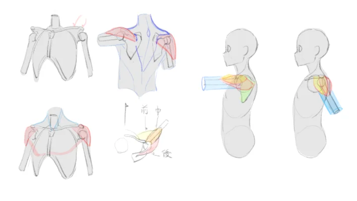 freeanimator-hide-jp-curriculum17.webp