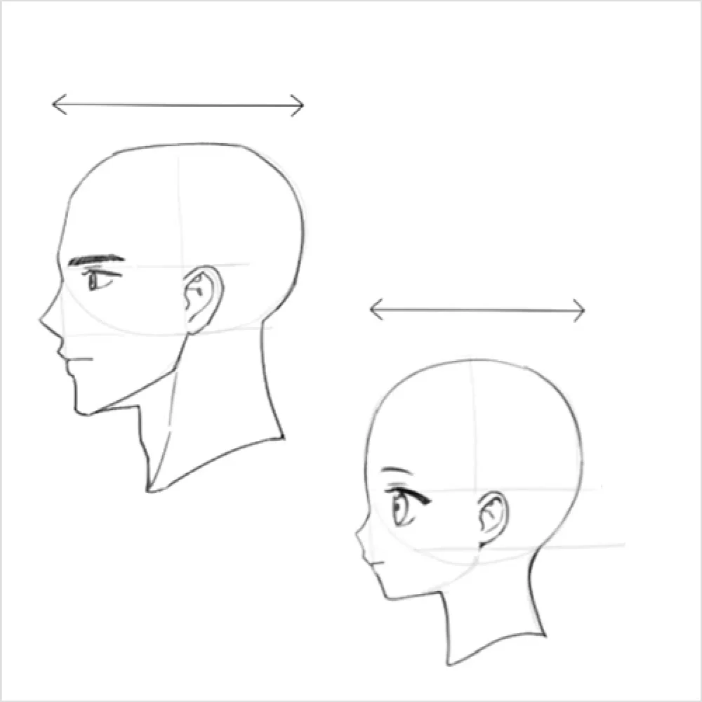 Coloso Illustrator Macciatto Exercises