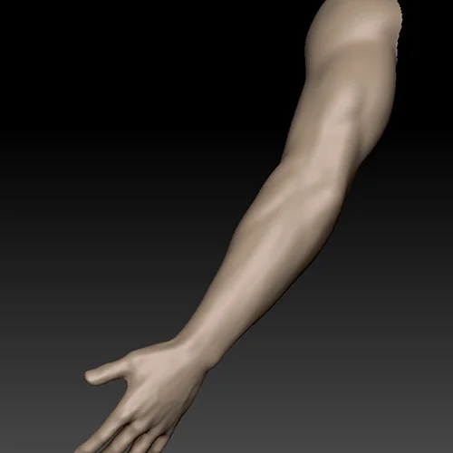 Coloso 3D角色艺术家殷轩