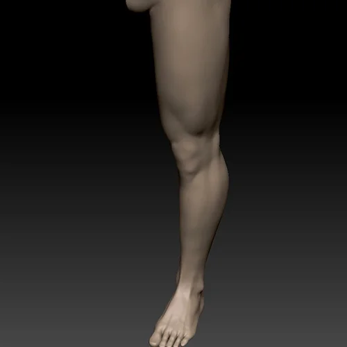 Coloso 3D角色艺术家殷轩