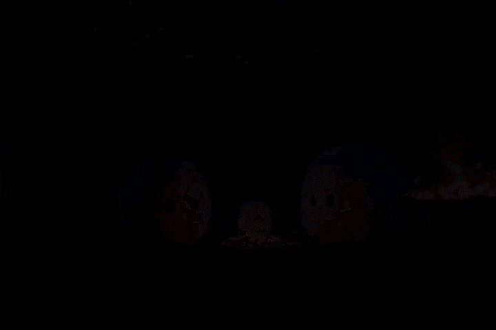 시그니처 크리에이티브 디렉터 이영운