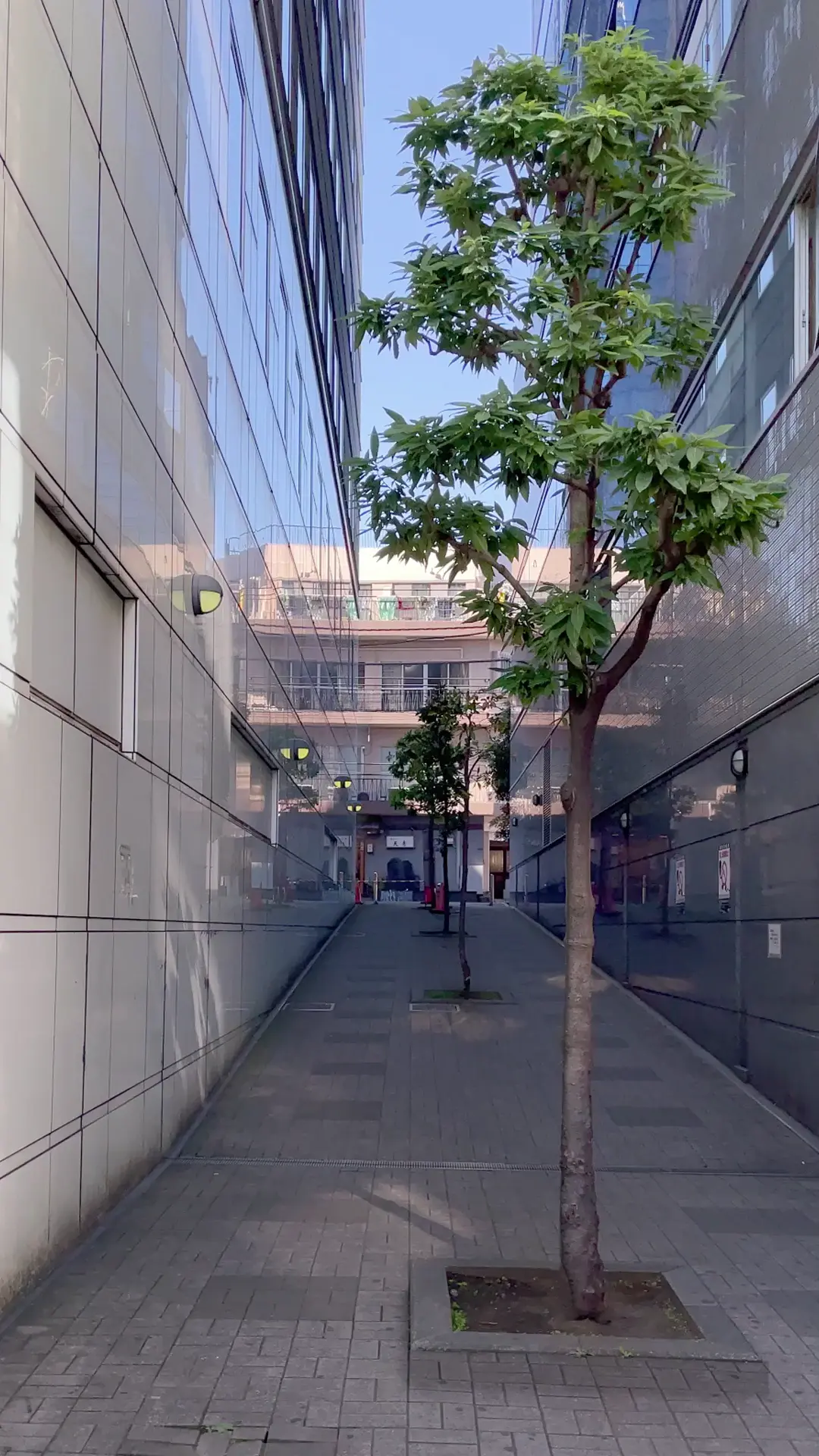 Coloso 3DCGクリエイター きむらえいじゅん