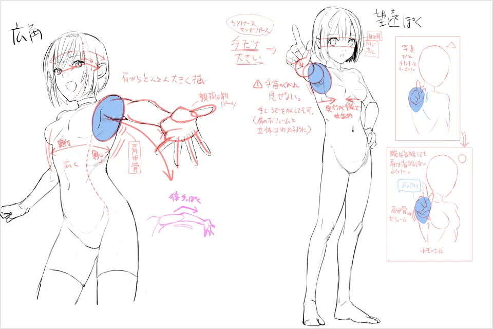 coloso YANAMi この講座のポイント