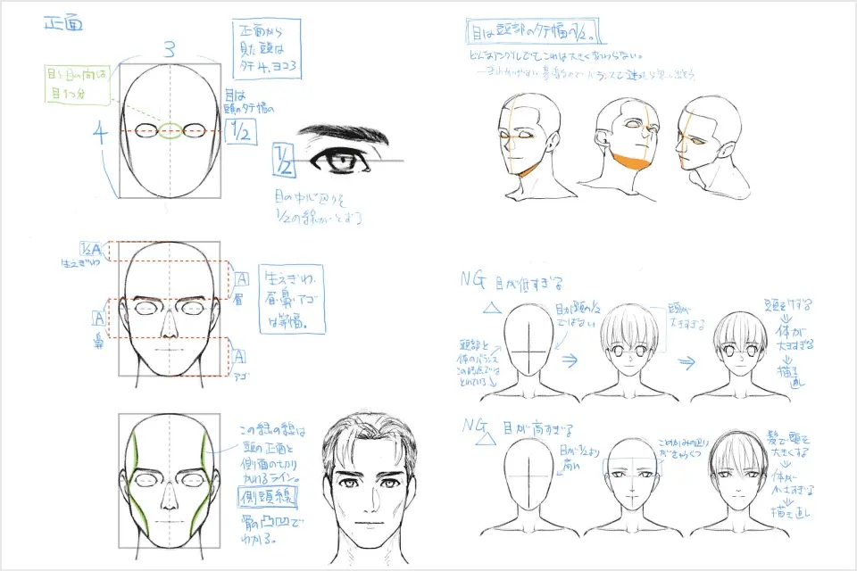 coloso YANAMi この講座のポイント