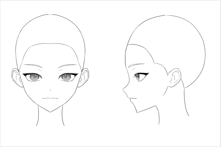 Coloso illustrator muksal Exercises
