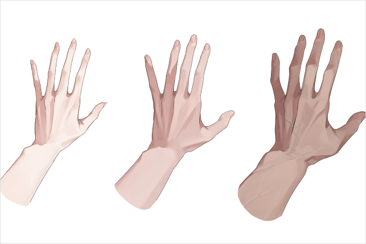 Coloso illustrator muksal Exercises