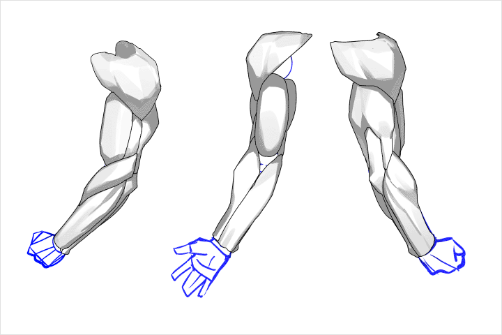 Coloso illustrator muksal Exercises