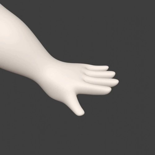 3D Animator minusT exercises