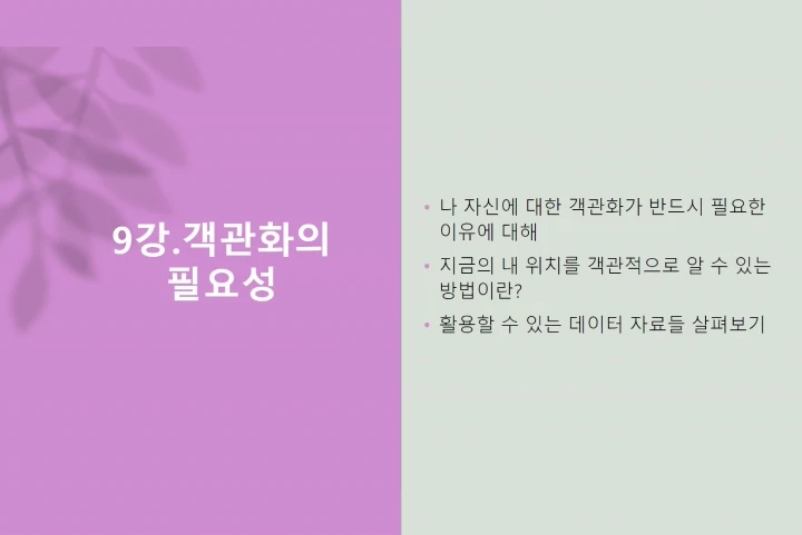 콜로소 웹소설 작가 에바트리체