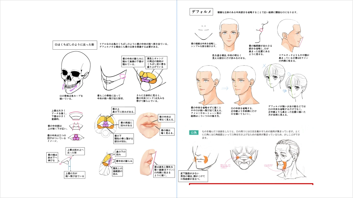 jp_illustrator_yanami_section_04.webp