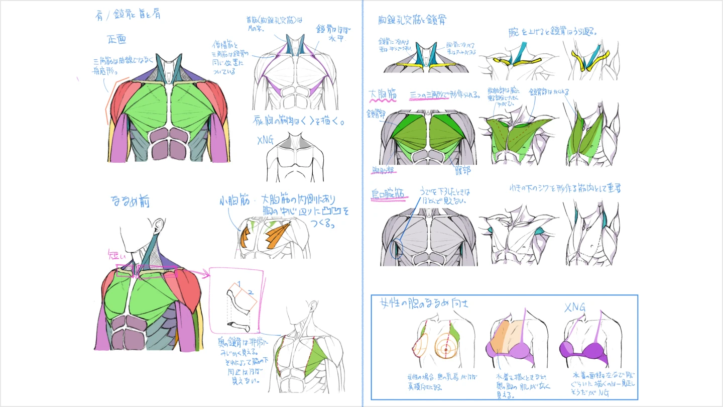 jp_illustrator_yanami_section_07_2.webp