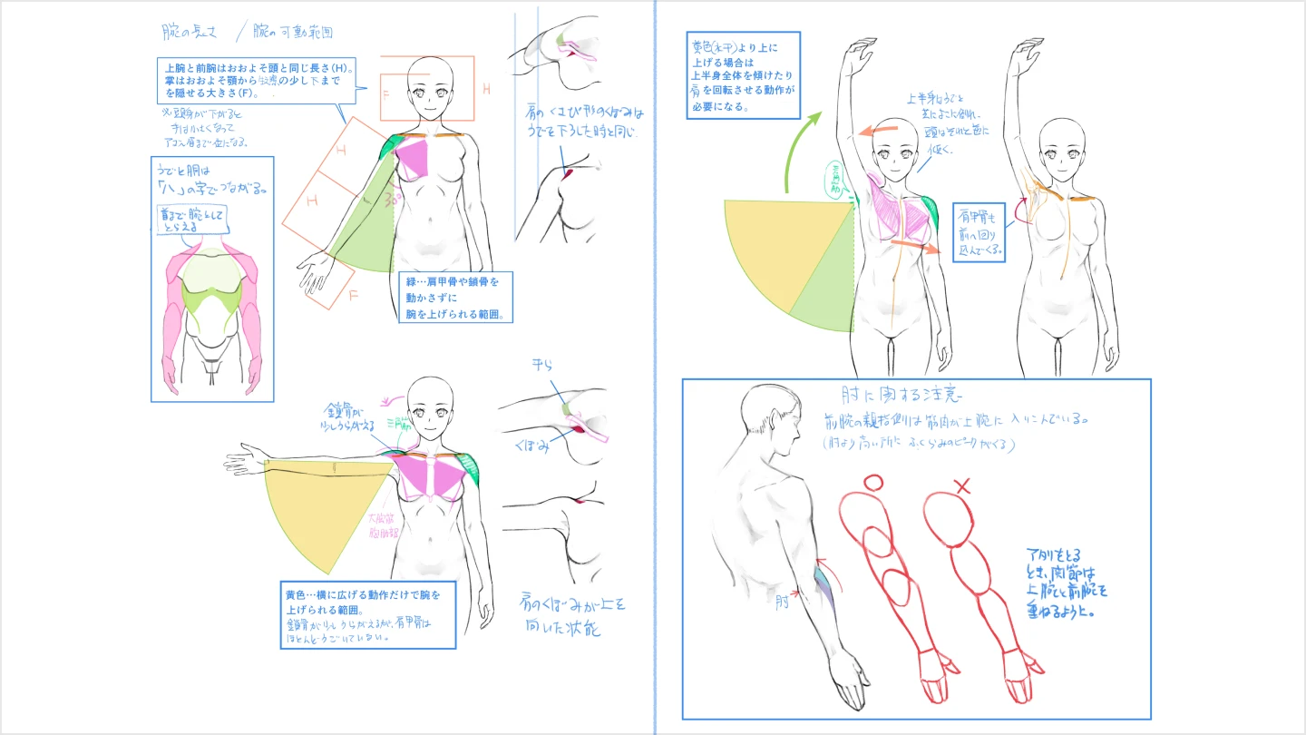 jp_illustrator_yanami_section_09.webp