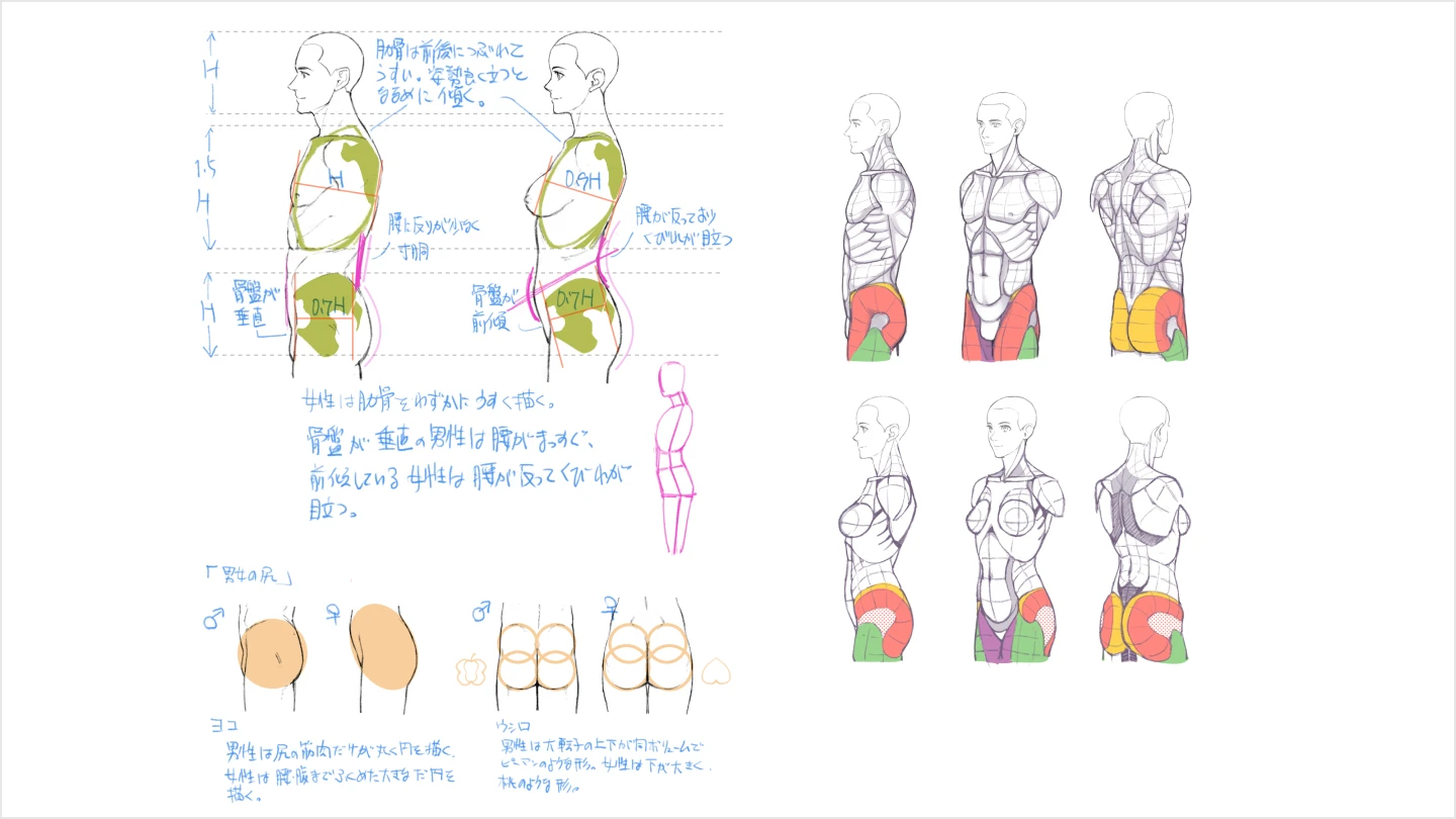 jp_illustrator_yanami_section_10_2.webp