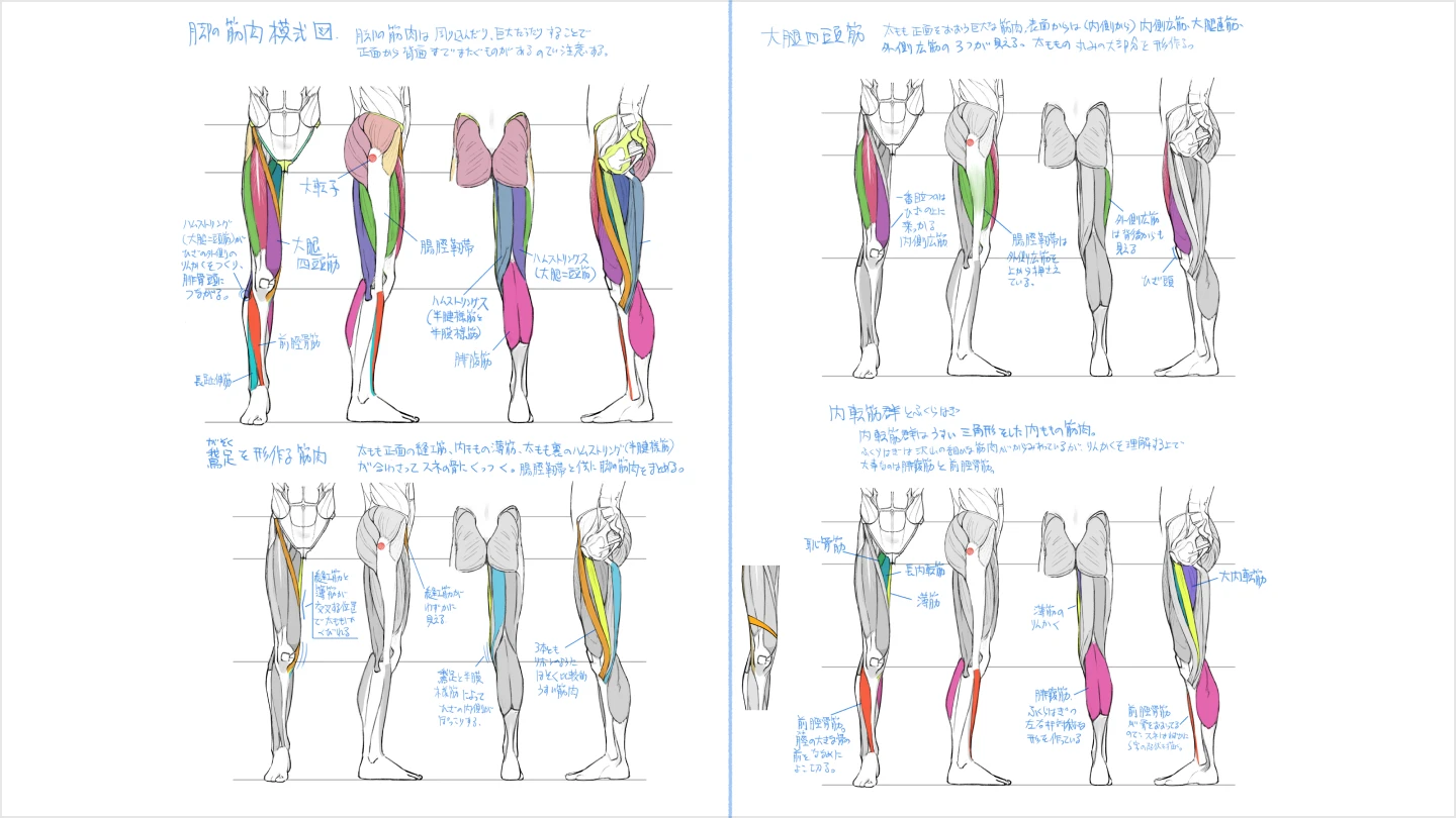 jp_illustrator_yanami_section_11.webp