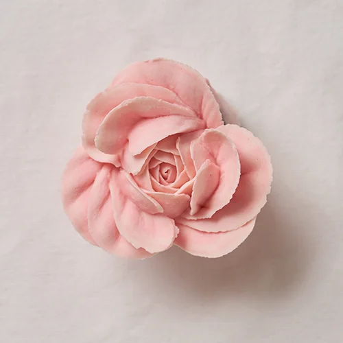콜로소 스윗로즈 대표 박예원