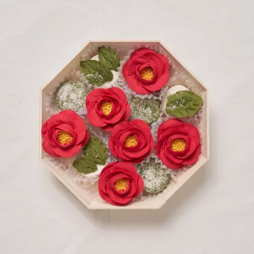 콜로소 스윗로즈 대표 박예원