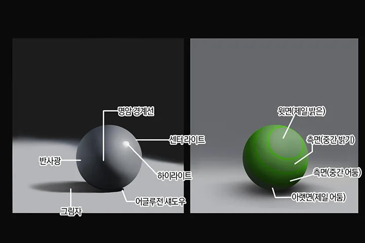 イラストレーター ZQ		