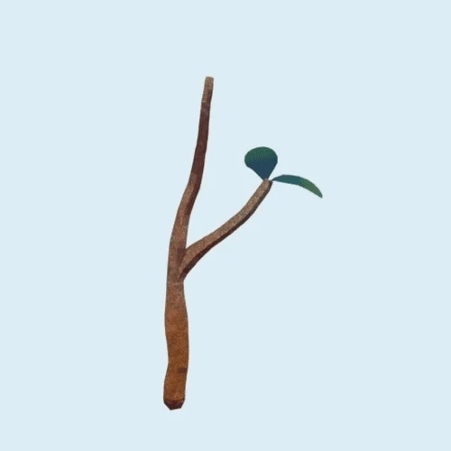 Coloso CGクリエイターあさみや工房