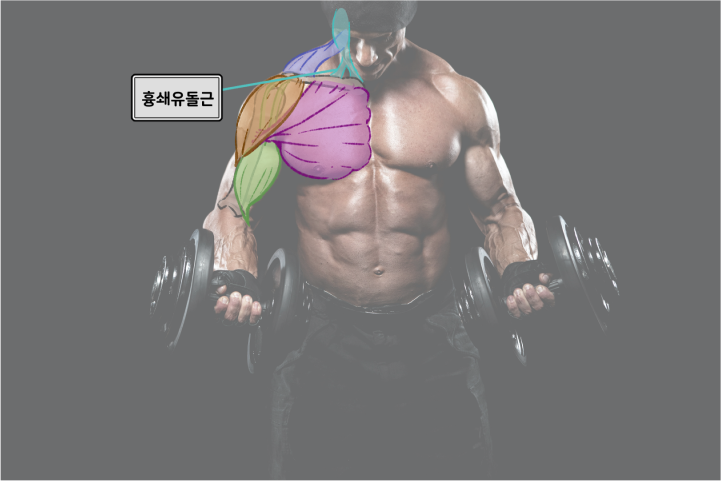 컨셉 아티스트 NOICIS
