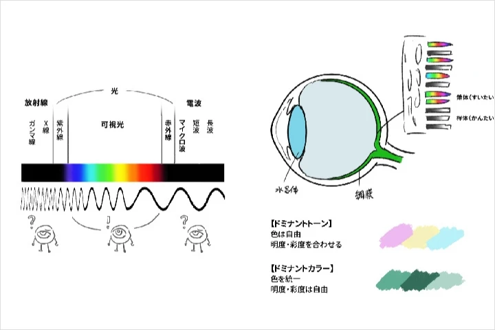 Coloso イラストレーター 鏑木康隆