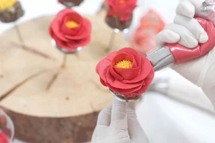 콜로소 스윗로즈 대표 박예원
