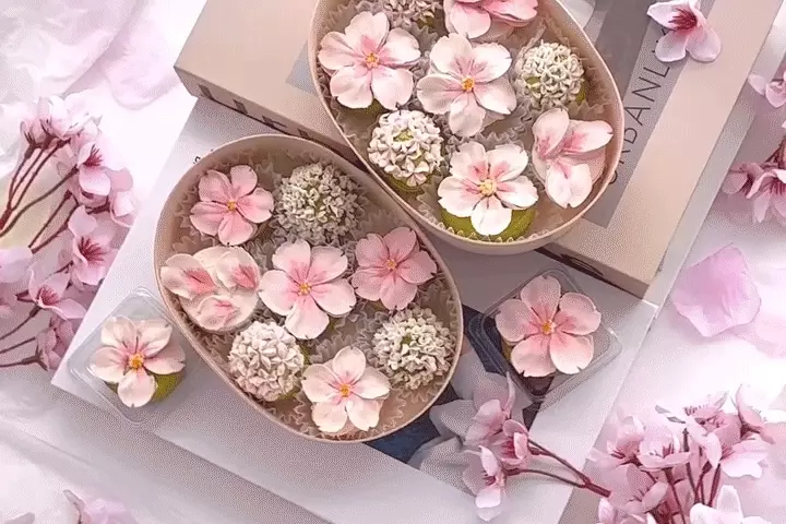 콜로소 스윗로즈 대표 박예원
