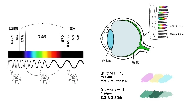 illustrator-kaburagi-jp-curriculum-3-3.webp